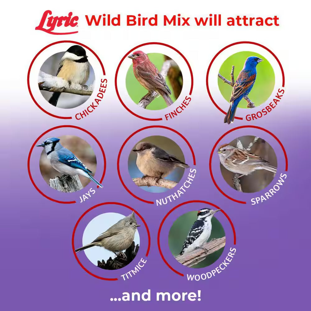 20 Lbs. Wild Bird Mix Bird Seed for outside Feeders