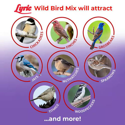 20 Lbs. Wild Bird Mix Bird Seed for outside Feeders