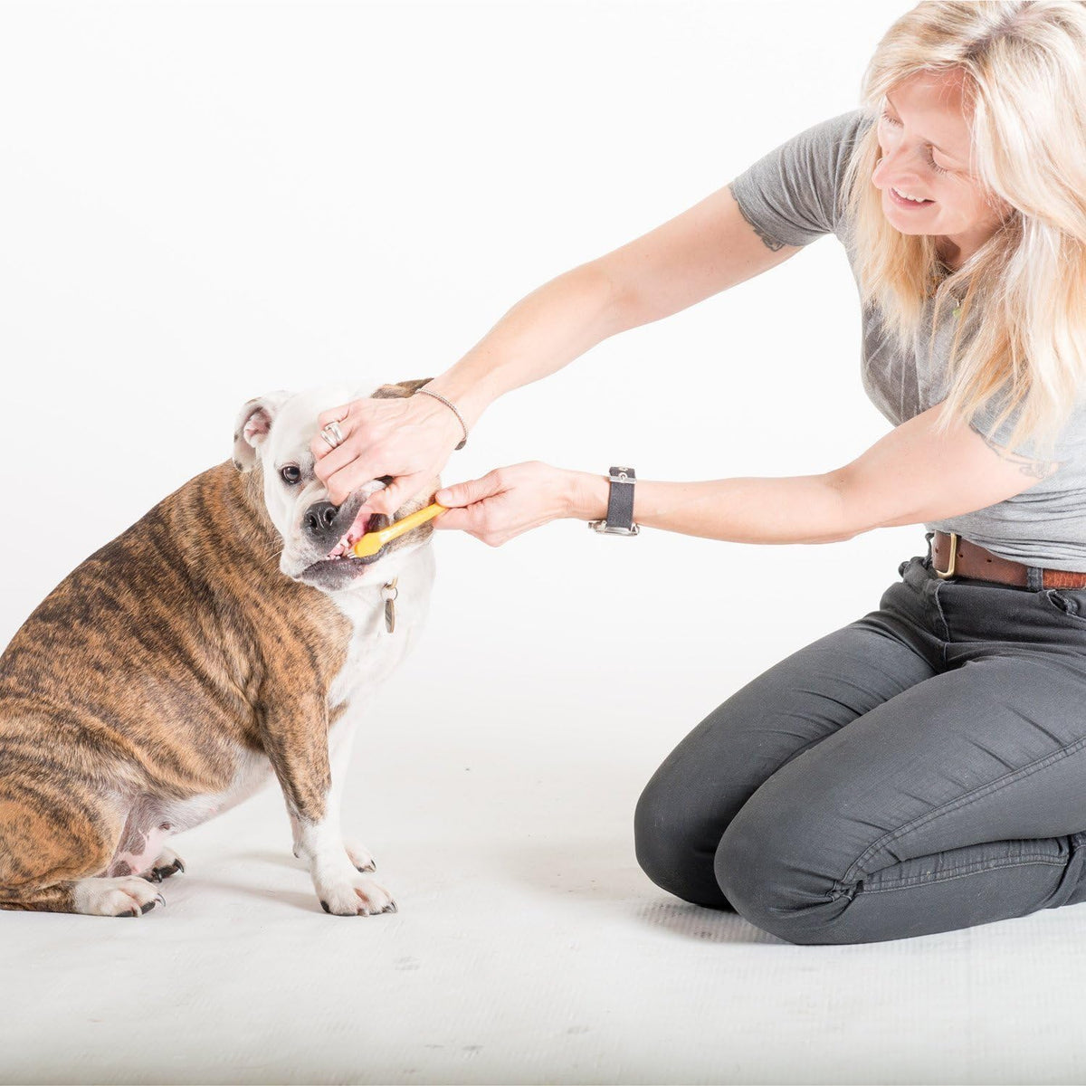 Tartar Control Dog Dental Kit, Beef Flavor, 3-Piece