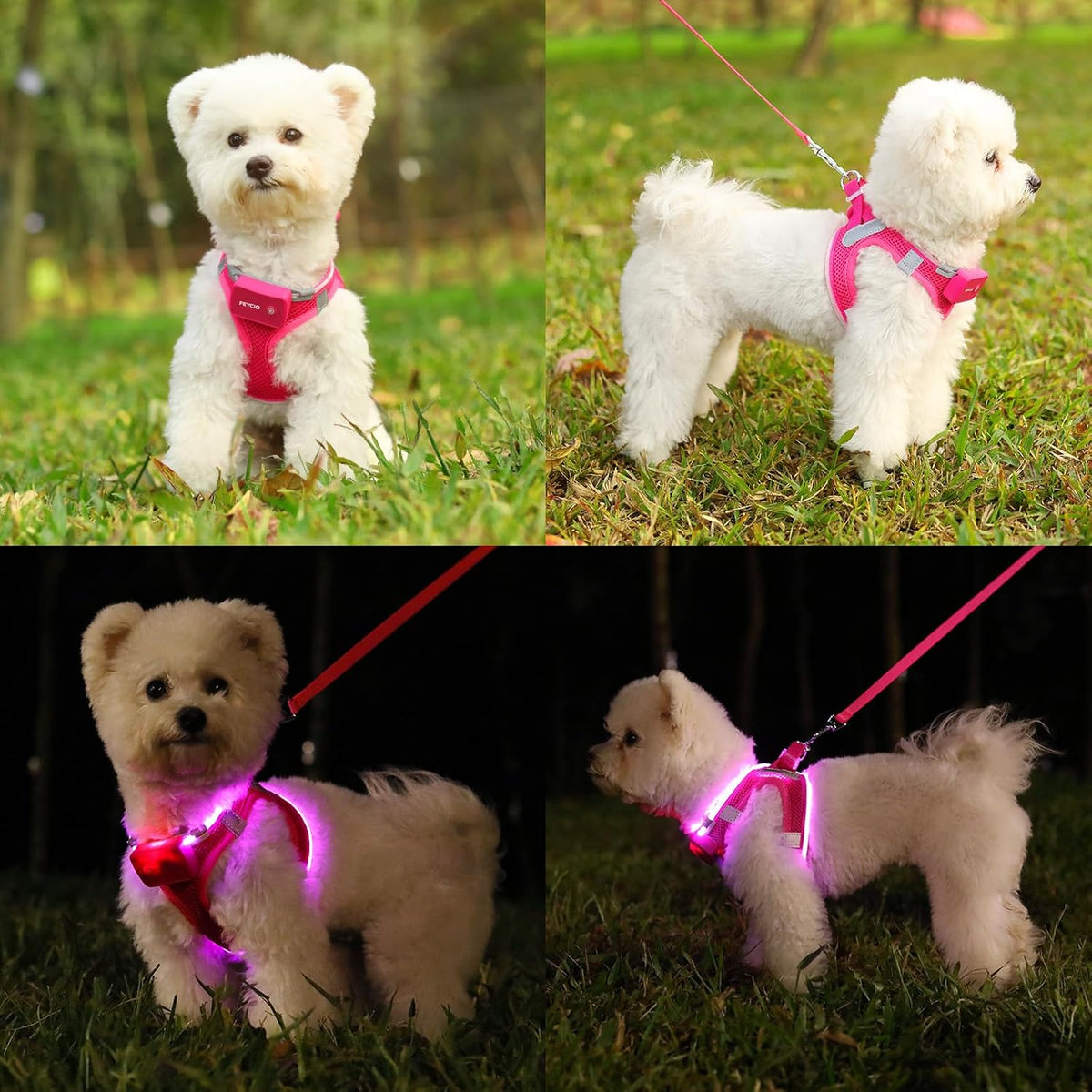 Light up Dog Harness, Rechargeable LED Dog Harness for Small Medium Dogs