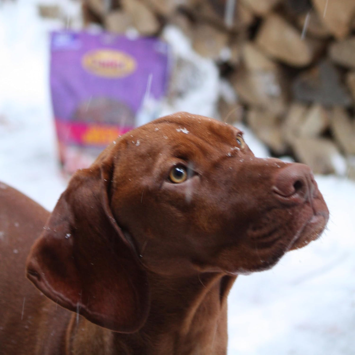 Gourmet Duck Breast Dog Jerky Treats, 2.5 Lbs