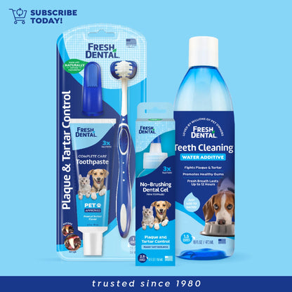 Fresh Dental No Brushing Gel Toothpaste for Dogs & Cats, Plaque Remover Pet Toothpaste, 4 Fl Oz