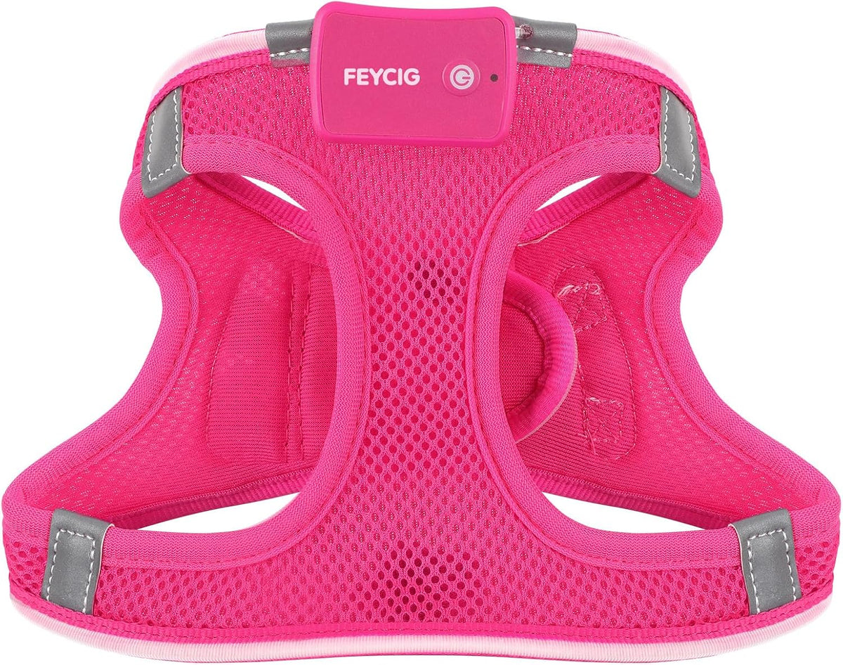 Light up Dog Harness, Rechargeable LED Dog Harness for Small Medium Dogs