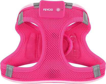 Light up Dog Harness, Rechargeable LED Dog Harness for Small Medium Dogs