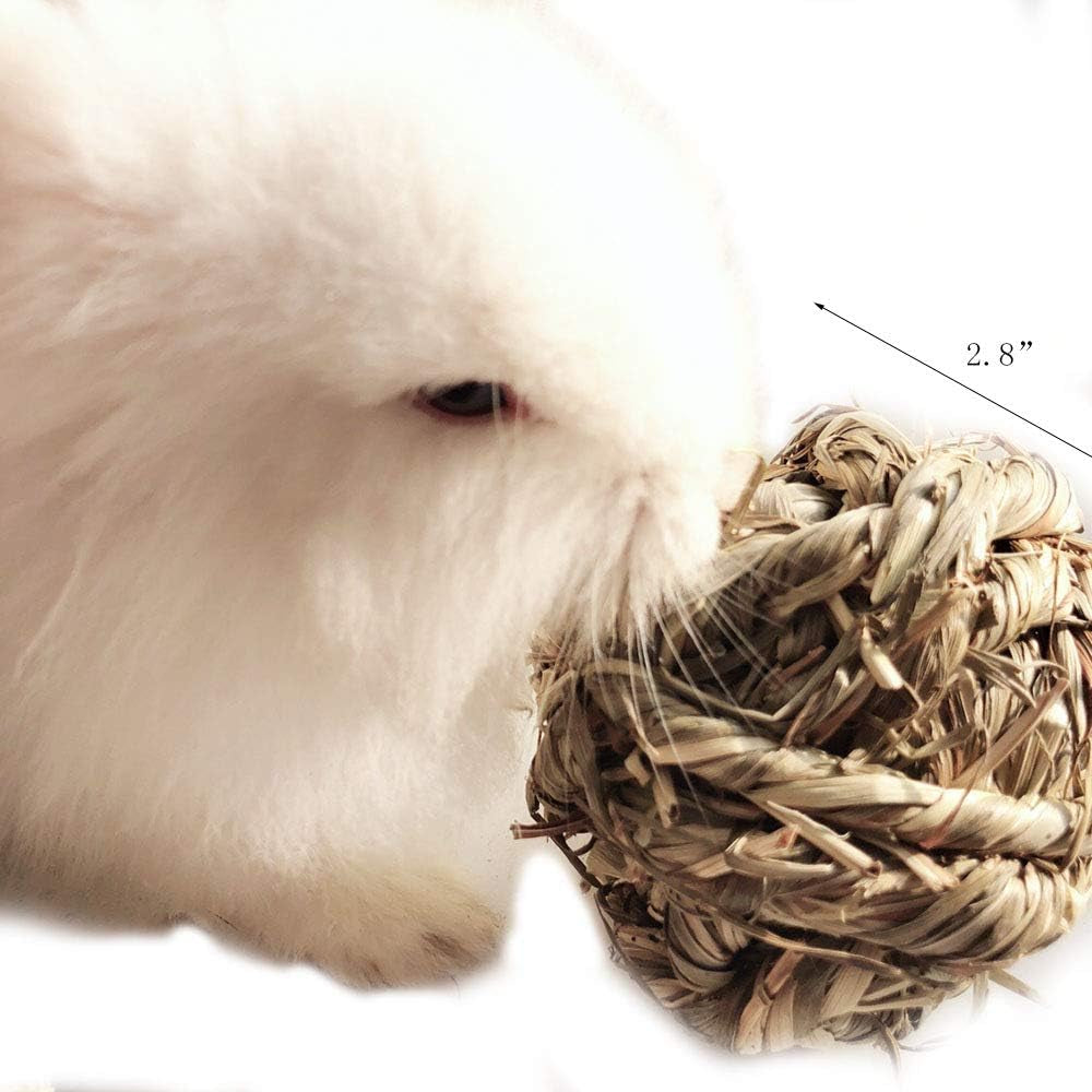 Rabbit Chew Ball Timothy Grass Grinding Bunny Chew Toys 3PCS