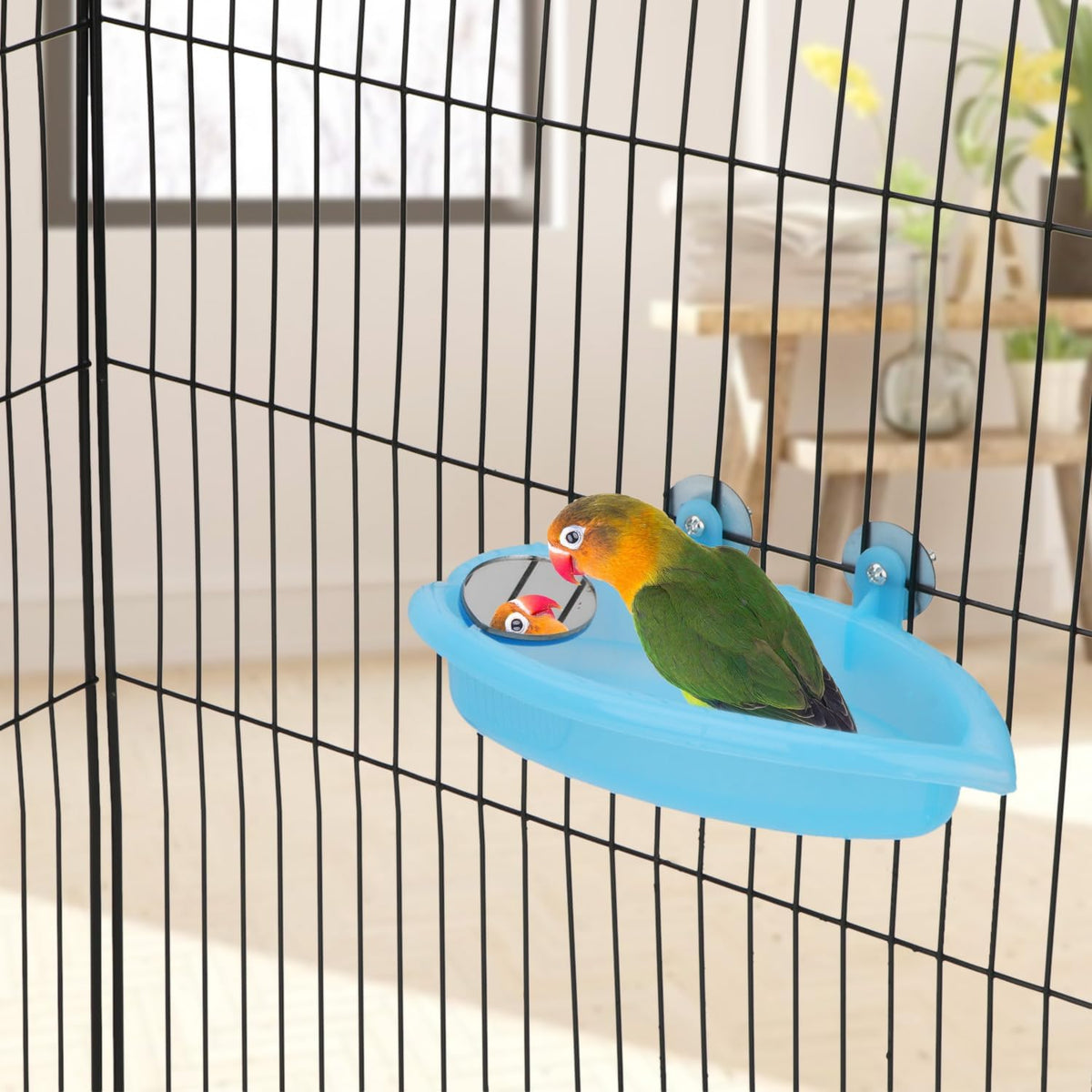 Bird Bath with Mirror Portable Bird Bathroom Parakeet Shower Tub