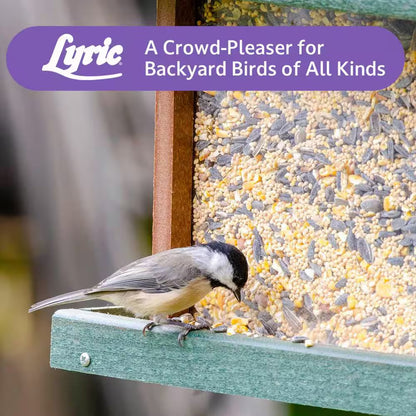 20 Lbs. Wild Bird Mix Bird Seed for outside Feeders