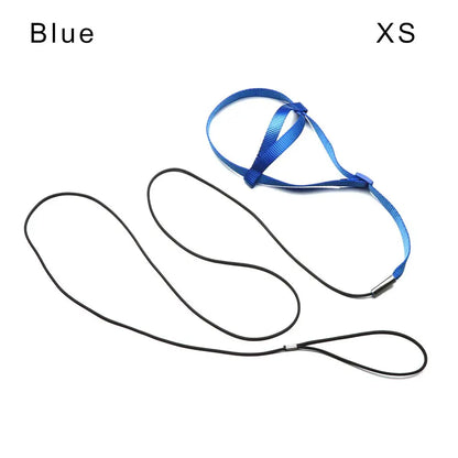 Parrot Bird Harness Leash Outdoor Flying Traction Straps Band Adjustable Anti-Bite Training Rope