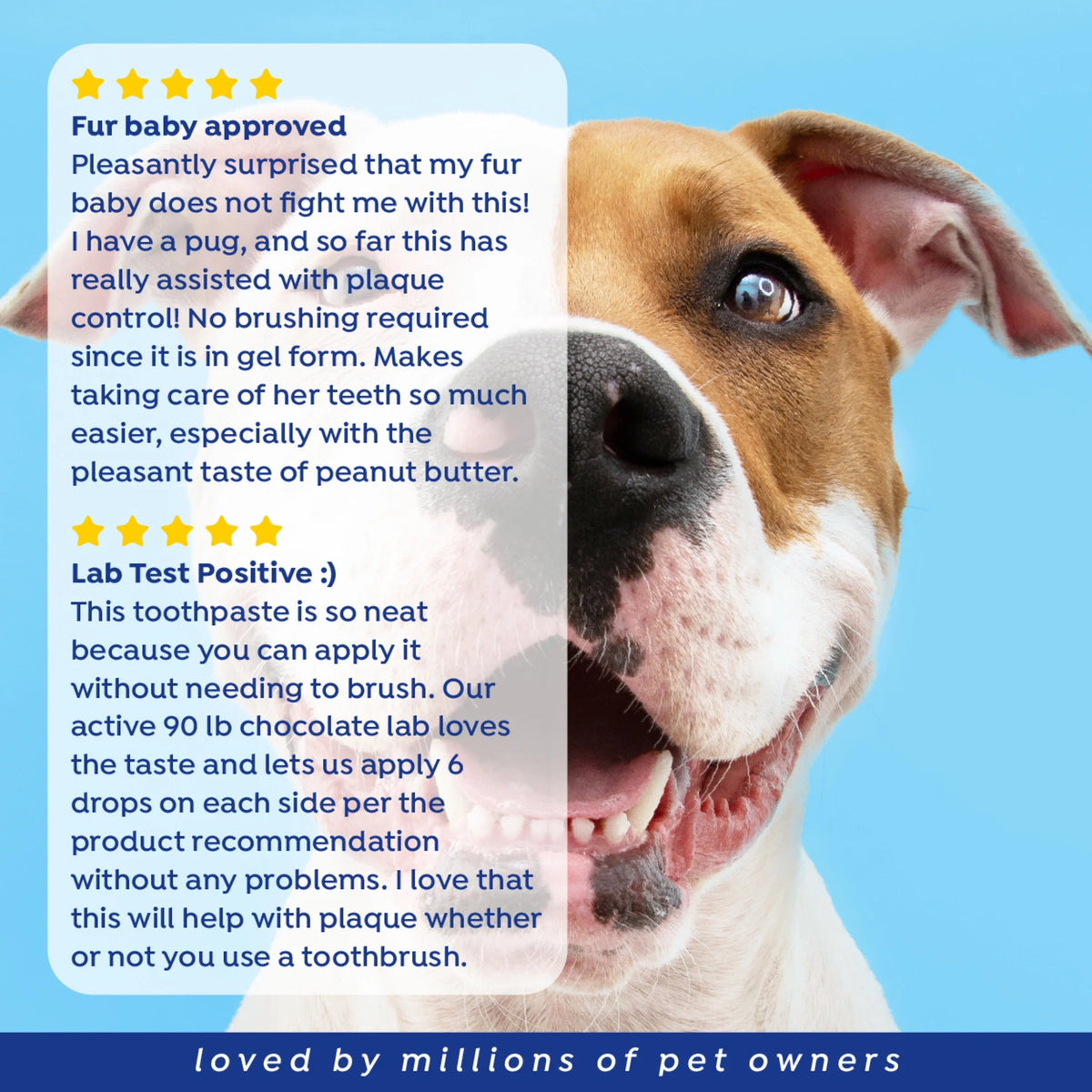 Fresh Dental No Brushing Gel Toothpaste for Dogs & Cats, Plaque Remover Pet Toothpaste, 4 Fl Oz