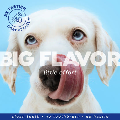 Fresh Dental No Brushing Gel Toothpaste for Dogs & Cats, Plaque Remover Pet Toothpaste, 4 Fl Oz