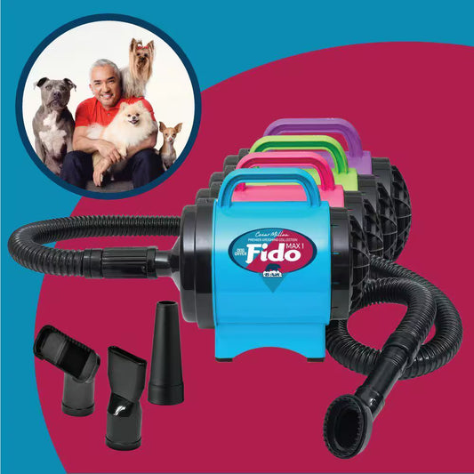 Cesar Millan Collection 2 HP Fido Max 1 Pet Grooming Dog Dryer, Lime Green