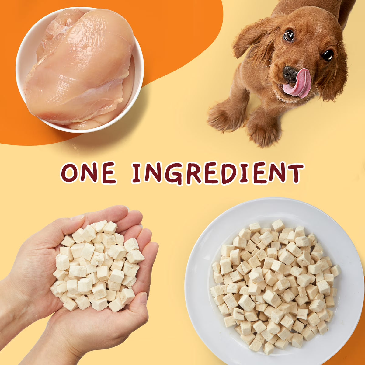 (5 Pack)  Freeze Dried Cat and Dog Treats Grain Free, Raw Single Ingredient Chicken High Protein Snacks for Training