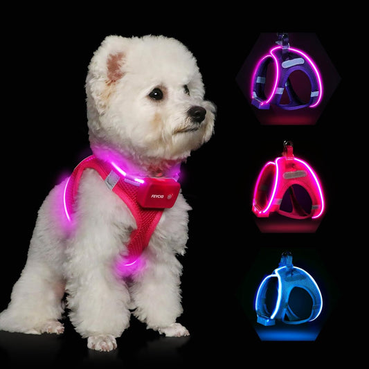 Light up Dog Harness, Rechargeable LED Dog Harness for Small Medium Dogs