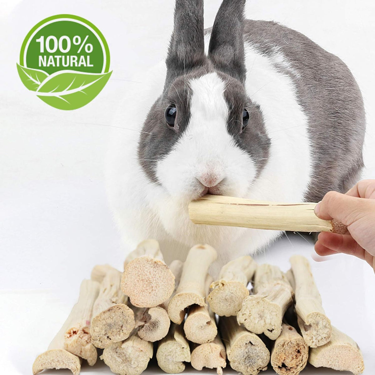 500G Sweet Bamboo Chews for Rabbits, Rabbit Chew Toys Bamboo Sticks