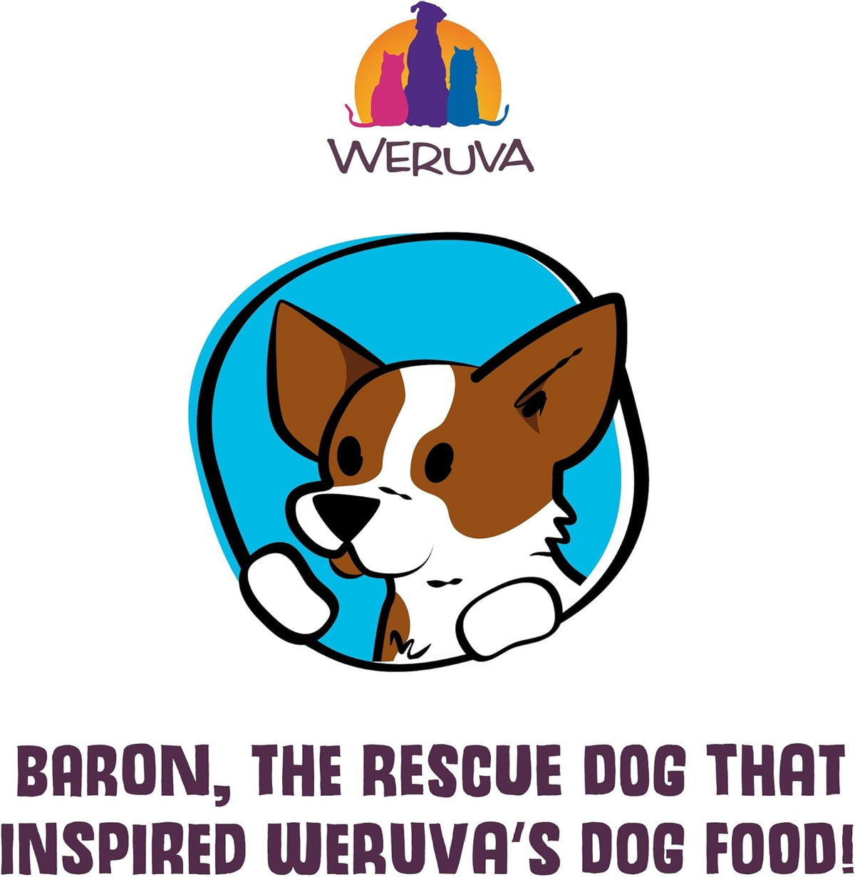 Classic Dog Food, Variety Pack, Baron'S Batch, Wet Dog Food, 5.5Oz Cans (Pack of 24)