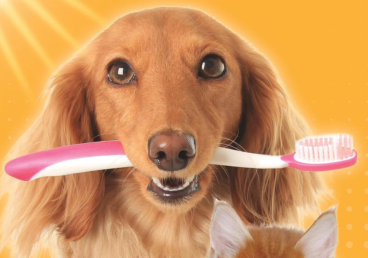 Tartar Control Dog Dental Kit, Beef Flavor, 3-Piece