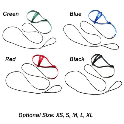 Parrot Bird Harness Leash Outdoor Flying Traction Straps Band Adjustable Anti-Bite Training Rope