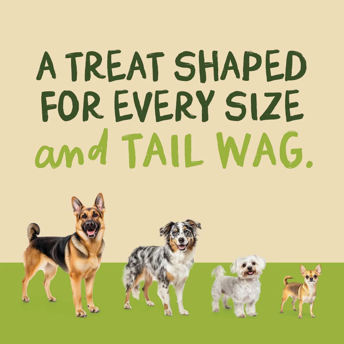 Beef Lung Dog Treats – Made and Sourced in the USA - Natural Healthy Treats, 9 Ounce