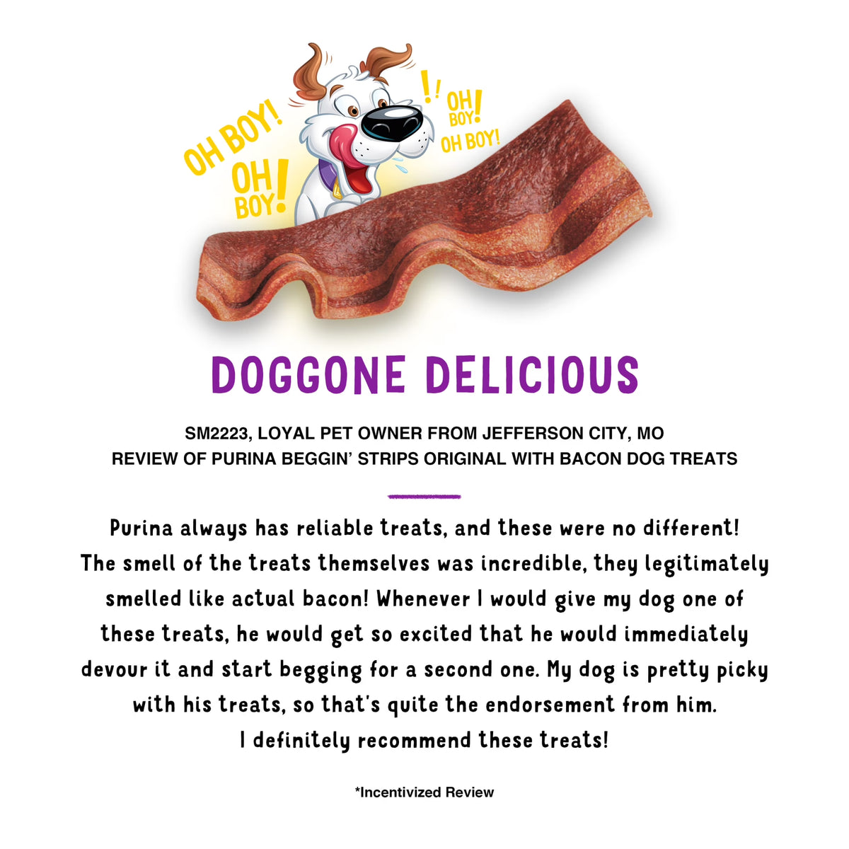 Purina  Strips Dog Treat Chews, Original with Real Bacon Snacks, 6 Oz Pouch