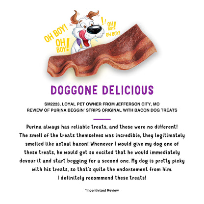 Purina  Strips Dog Treat Chews, Original with Real Bacon Snacks, 6 Oz Pouch