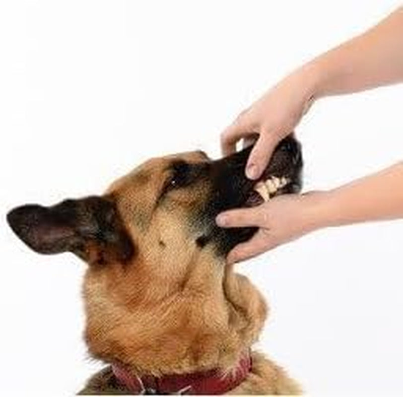 Tartar Control Dog Dental Kit, Beef Flavor, 3-Piece