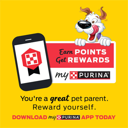 Purina  Strips Dog Treat Chews, Original with Real Bacon Snacks, 6 Oz Pouch