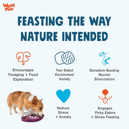 Seaflex Waves Feast Mat – All-In-One, Slow Feeder, Lick Mat – Encourages Foraging & Food Exploration - Engages Picky Eaters & Slow Feeding - Versatile – Easy to Clean, Non-Toxic - Tropic