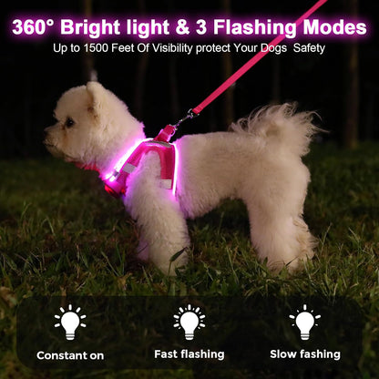 Light up Dog Harness, Rechargeable LED Dog Harness for Small Medium Dogs