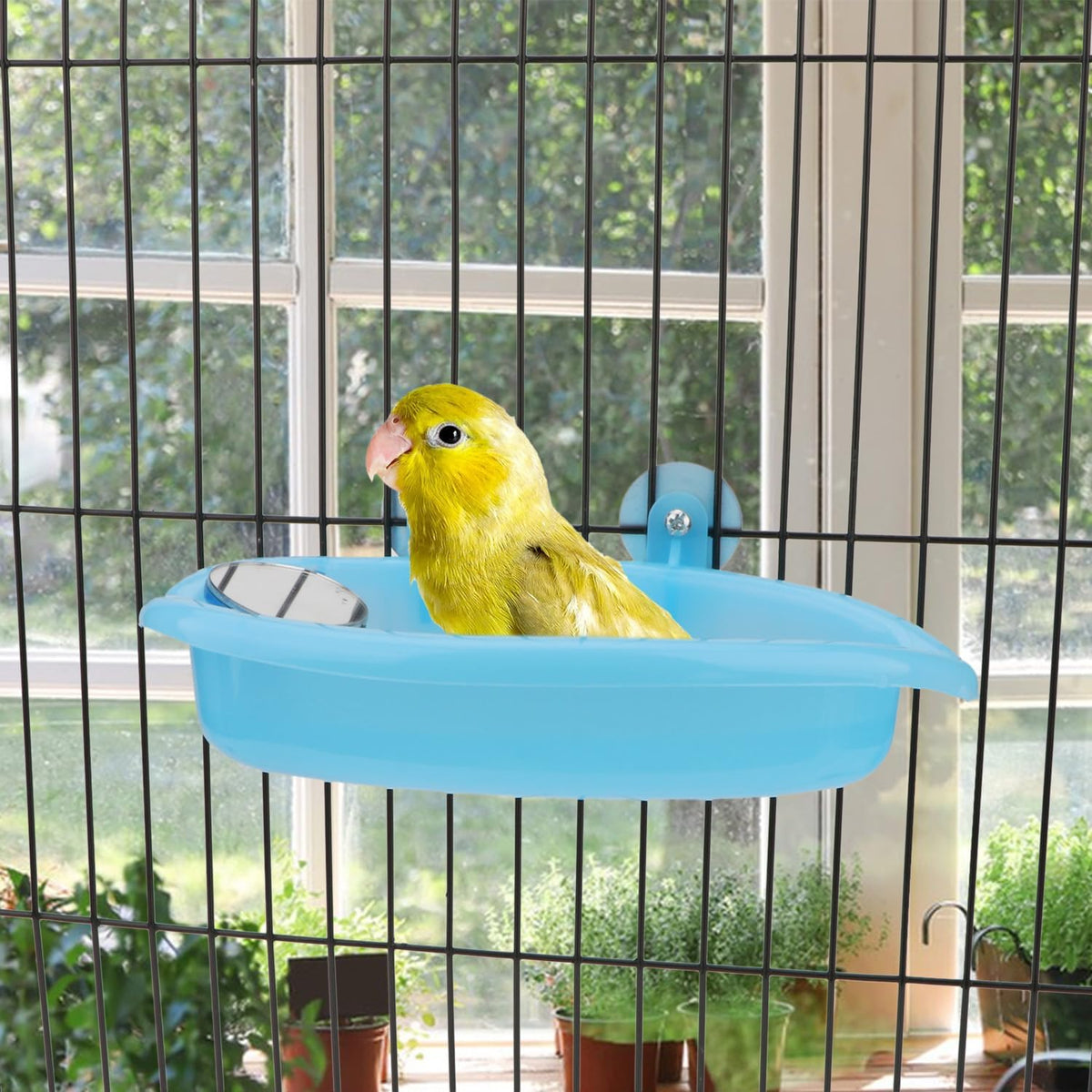 Bird Bath with Mirror Portable Bird Bathroom Parakeet Shower Tub