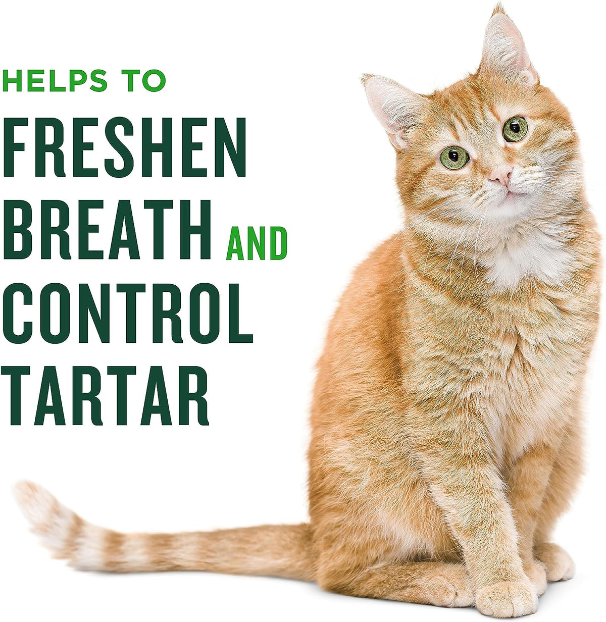 Dental Treats for Cats, Salmon Flavor, 2.5Oz